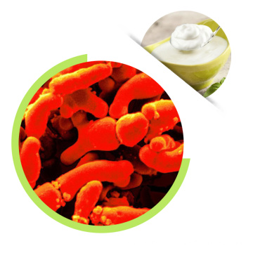 Bifidobacterium breve Powder/Bifidobacterium powder for poultry probiotics powder